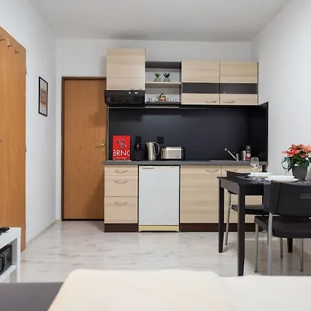 Krenova 1+kk Apartment