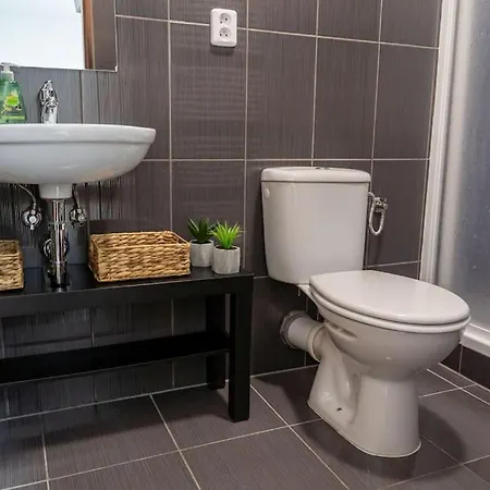 Krenova 1+kk Brno