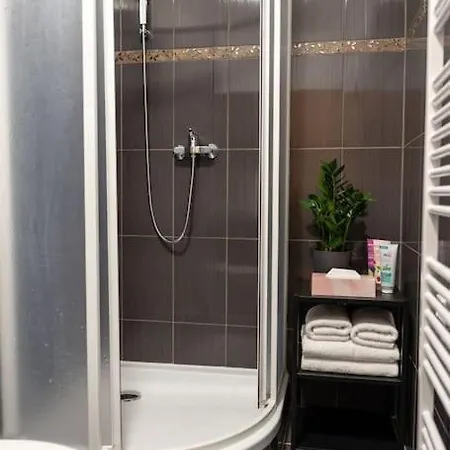 Apartment Krenova 1+kk