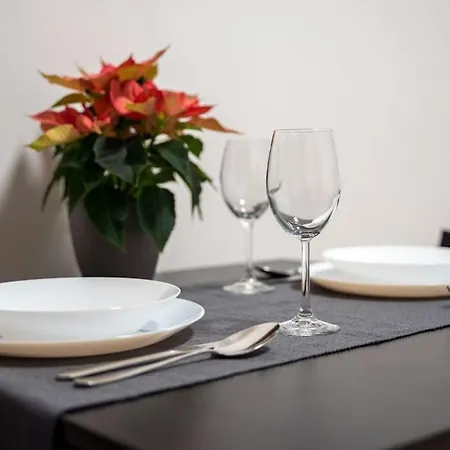 Apartment Krenova 1+kk *