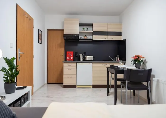 Krenova 1+kk Apartment