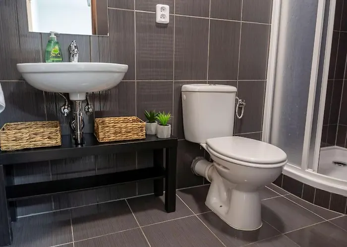 Krenova 1+kk Brünn