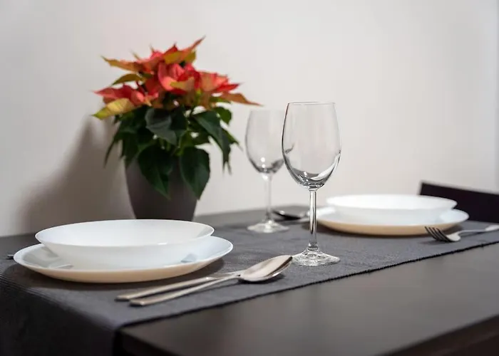 Apartment Krenova 1+kk *